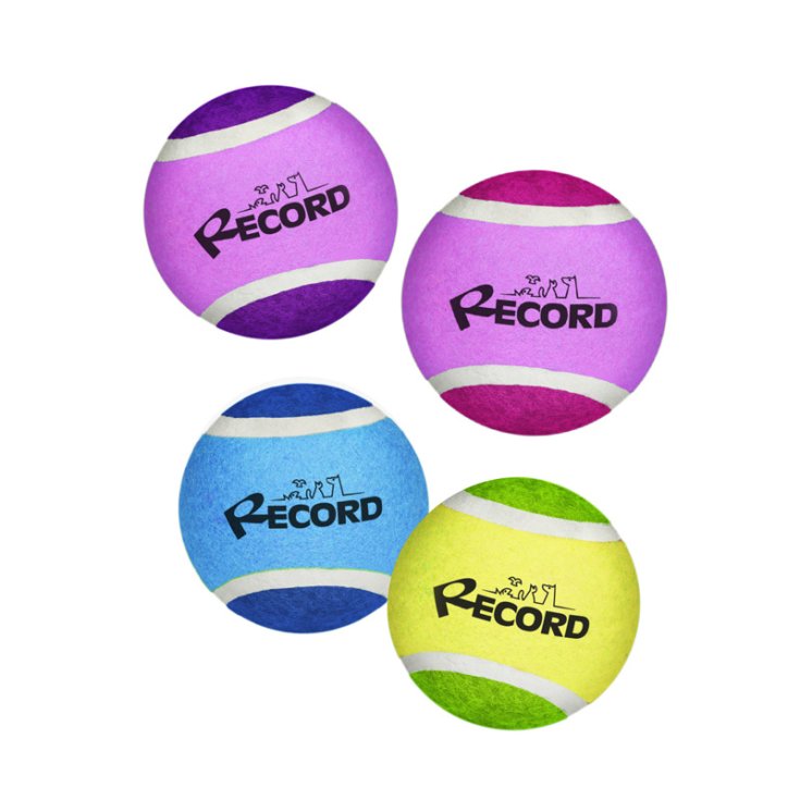 RECORD TENNIS FUN 4 PELOTAS DE TENIS VIOL