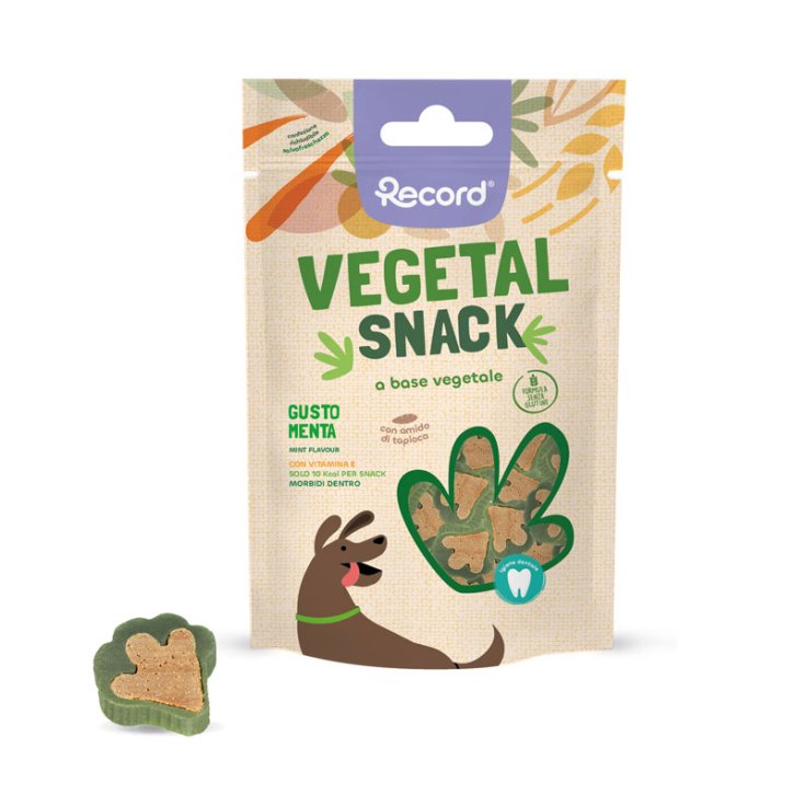RECORD SNACK VEGETAL PARA PERROS 75 G MENTA