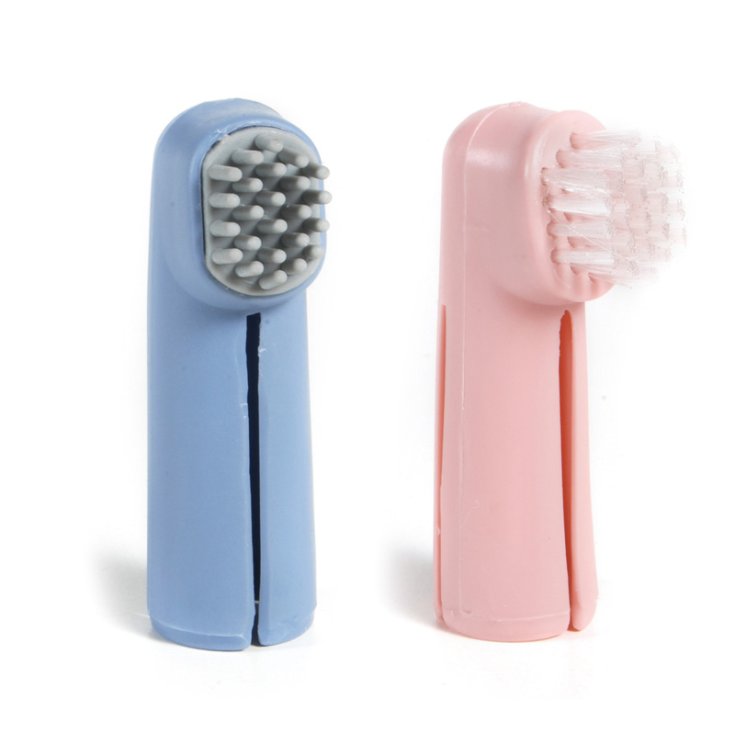 REGISTRA 2 CEPILLOS DE DIENTES Y CHICLE
