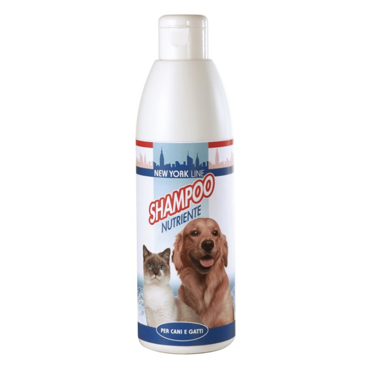 RECORD NEW YORK CHAMPÚ 0,25 L NUTRITIVO