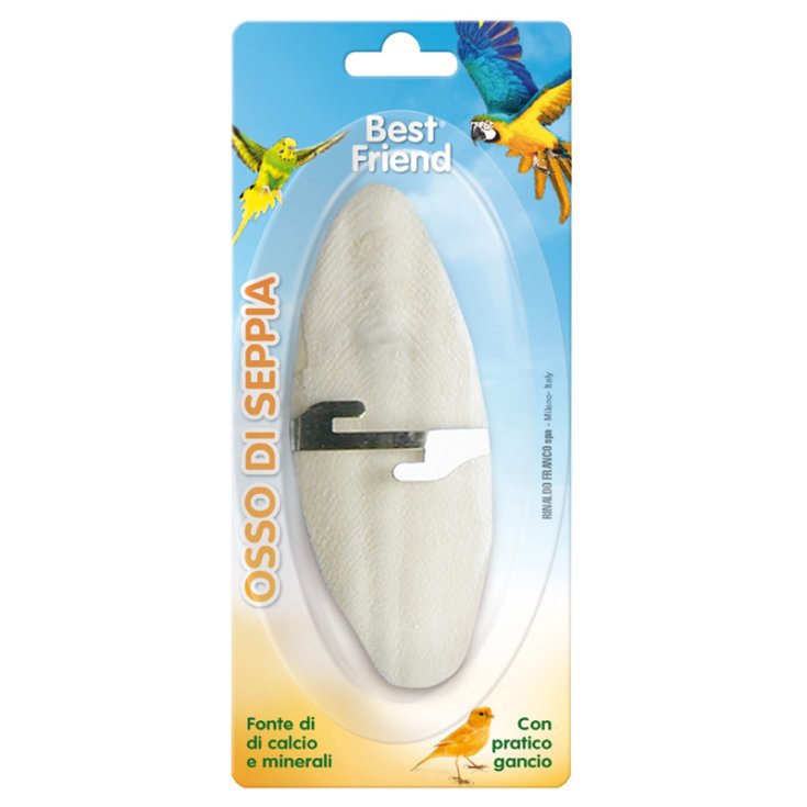 MEJOR AMIGO 1 PIEZA HUESO DE SEPIA 12X5