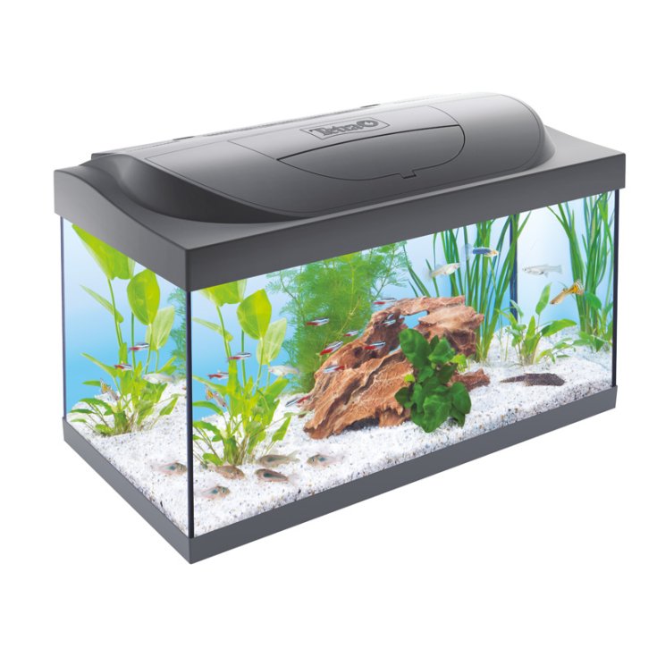 TETRA ACUARIO STARTER NEGRO 54 L