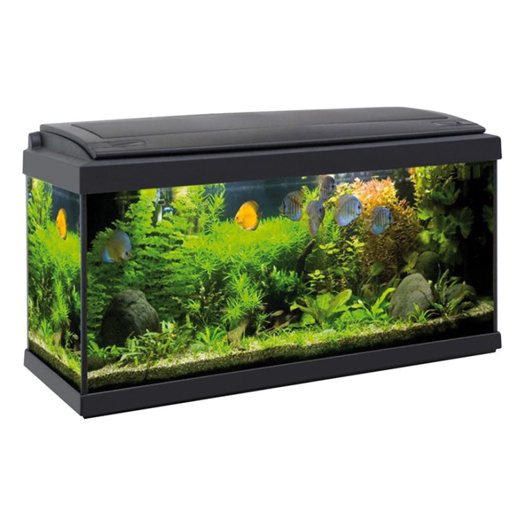 ACQUAFRIEND ACUARIO FULLVISION LED 80X3