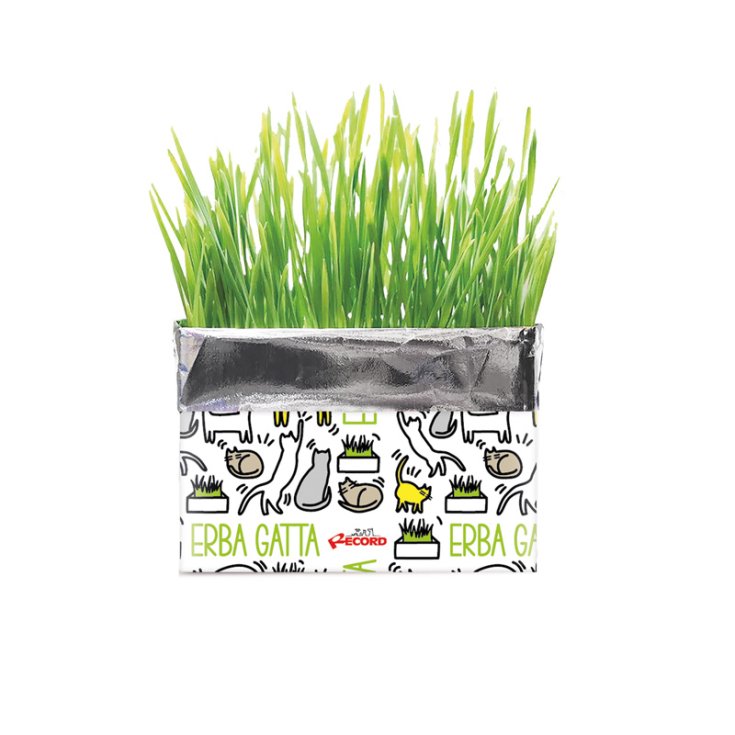 REGISTRO INFORME MUESTRA NO DESTINO